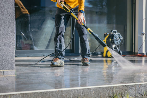 Best Solar Panel Cleaning  in Buena Vista, GA